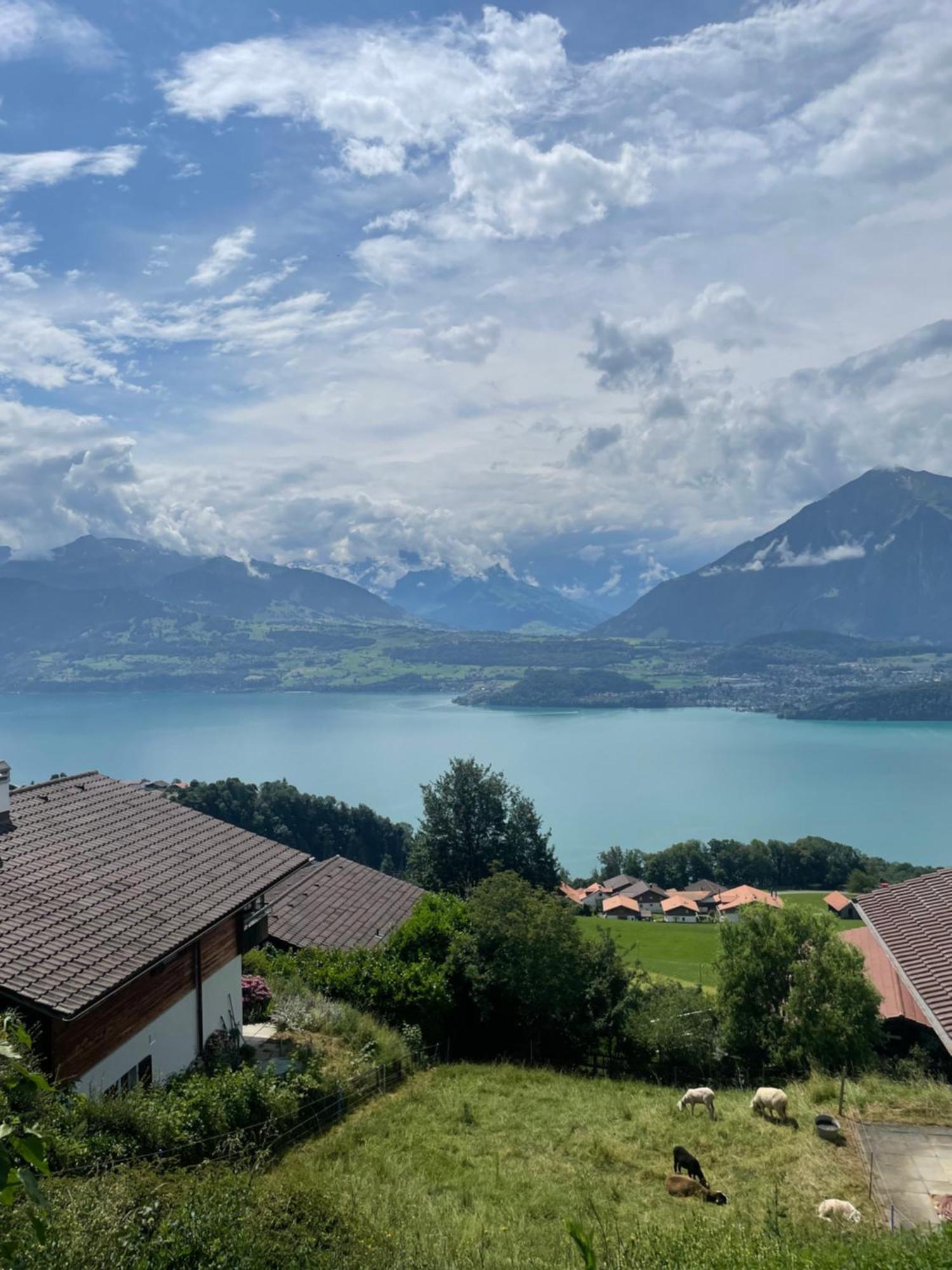 Seeblick Aeschlen Dış mekan fotoğraf